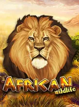 AfricanWildlife